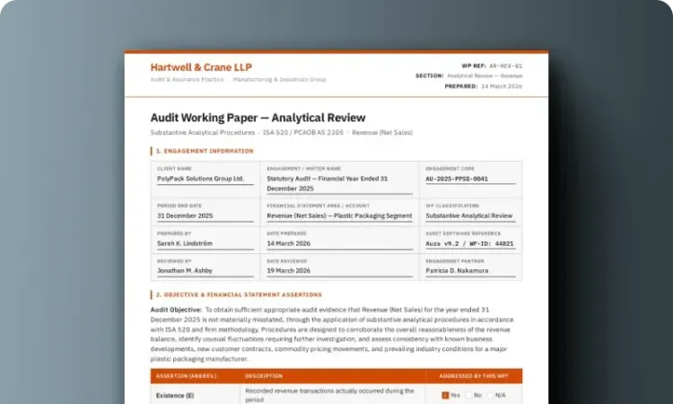 Audit Working Paper