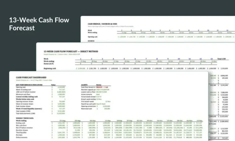 13-Week Cash Flow Forecast