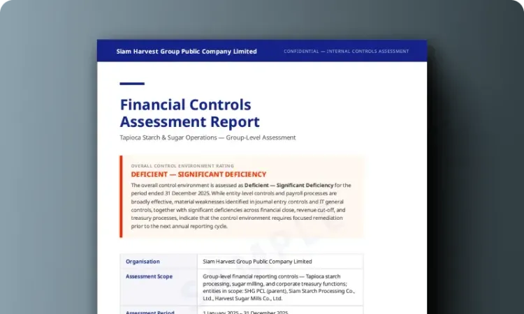 Financial Controls Assessment