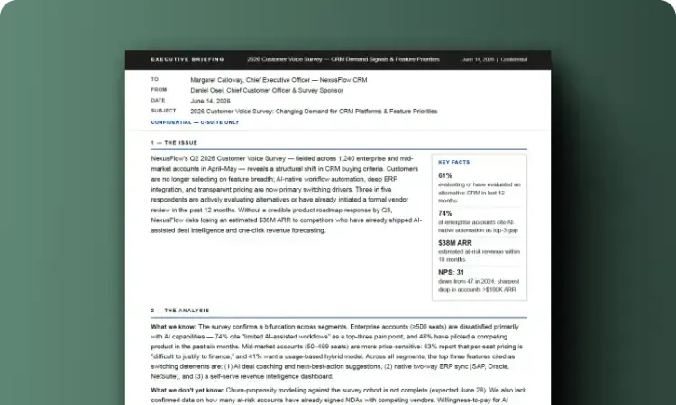 Executive Briefing Memo